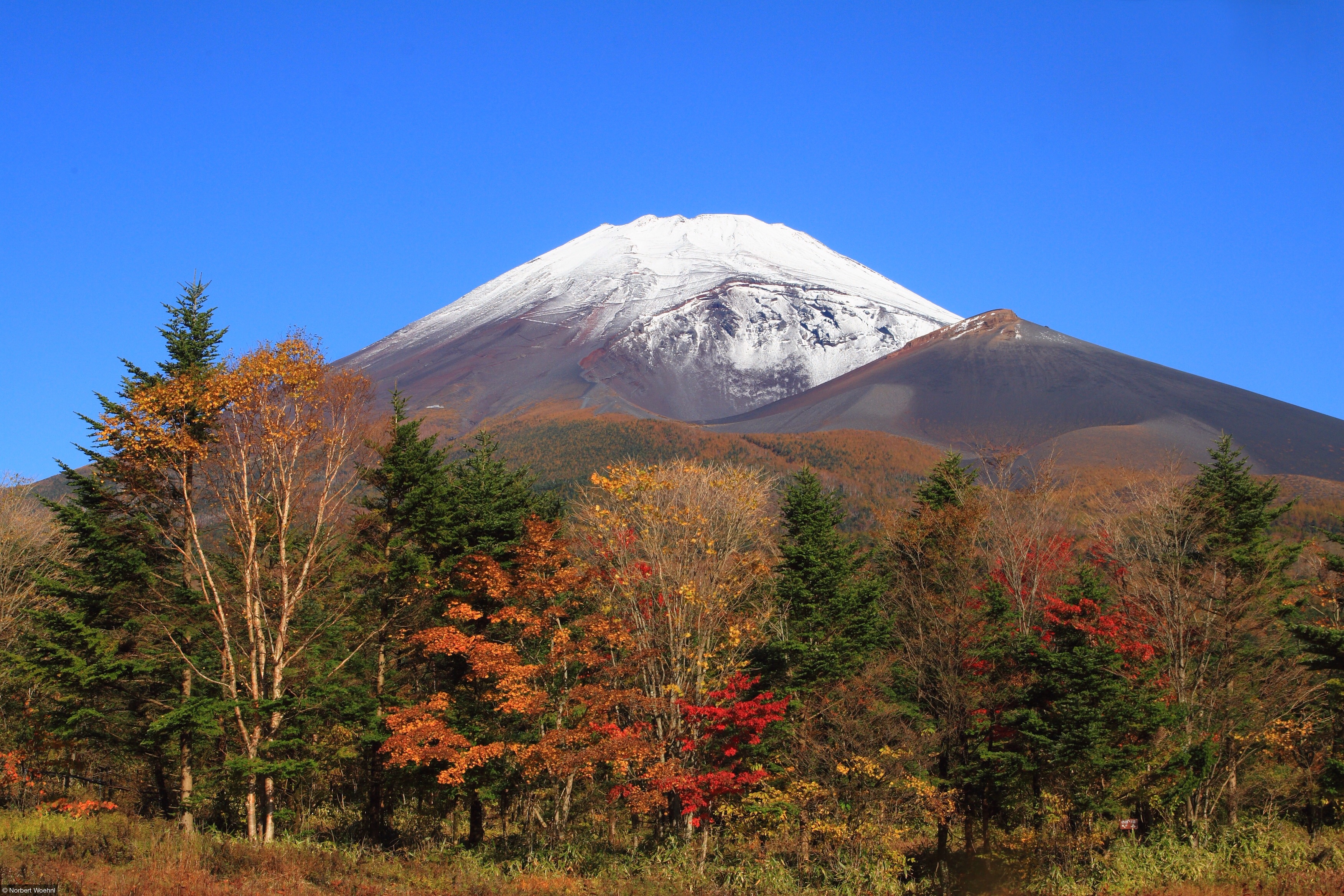 Mount Fuji